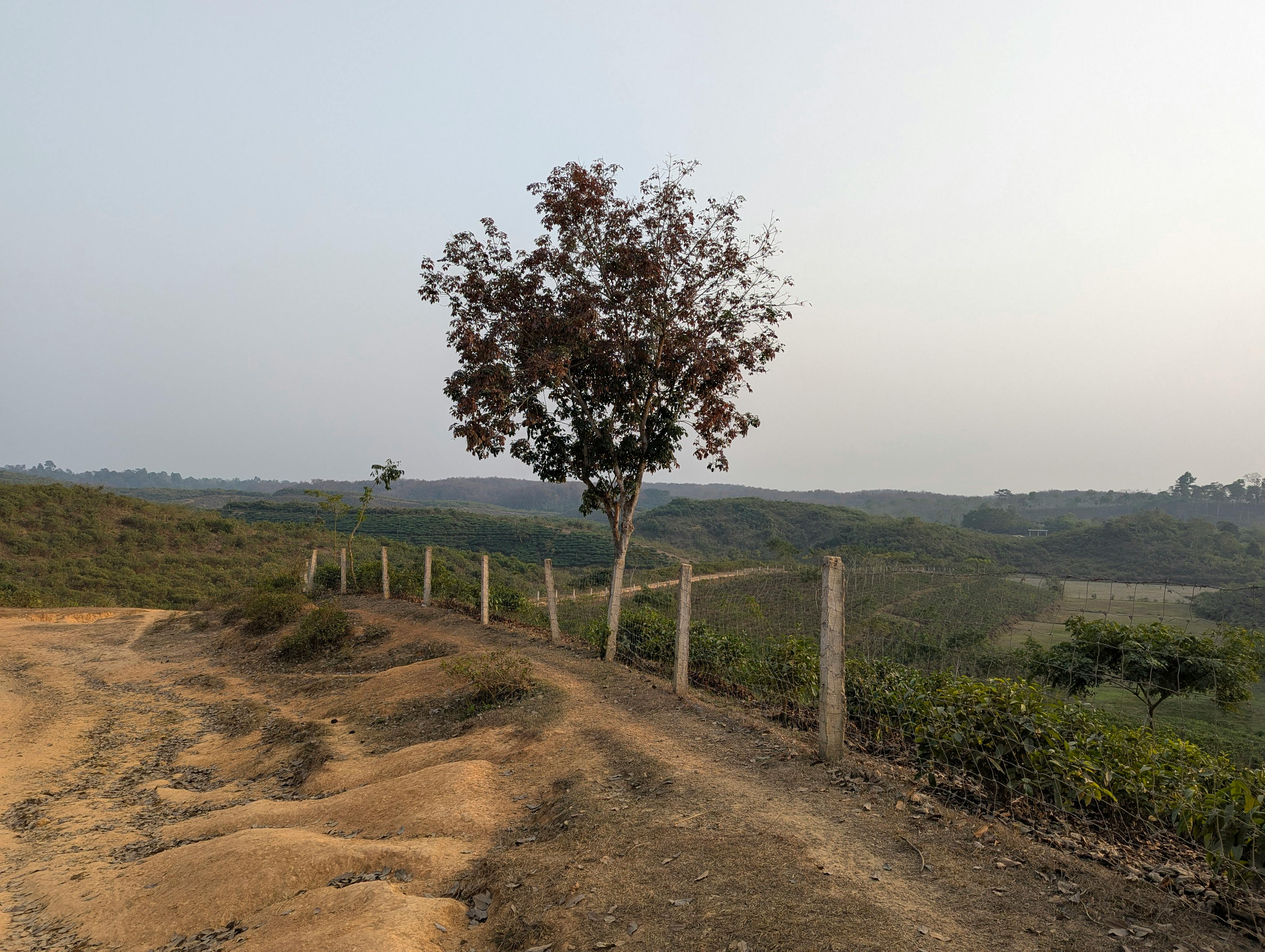 সাজেক ভ্যালি ৪