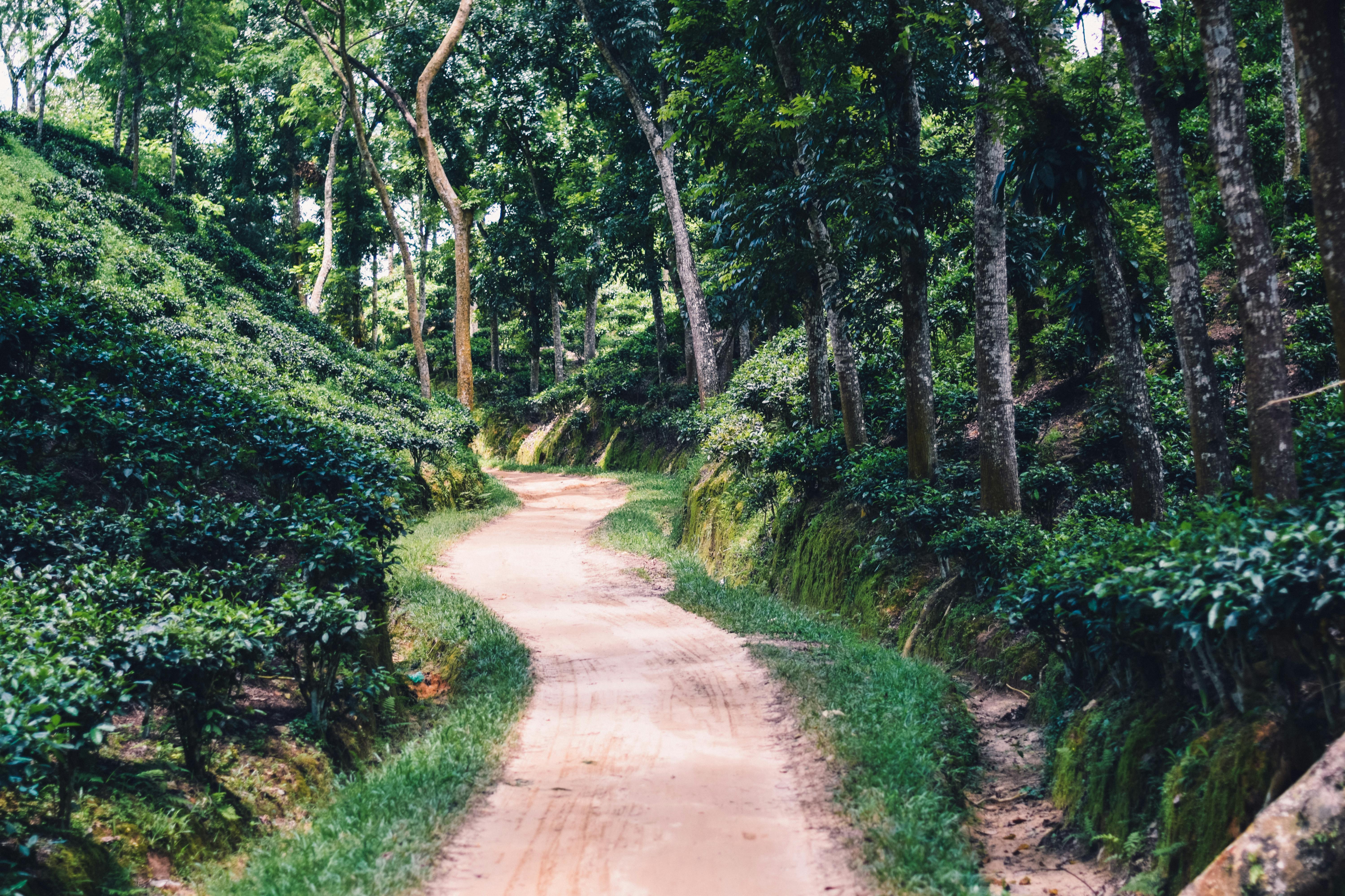 সিলেট ফুল প্যাকেজ ৪