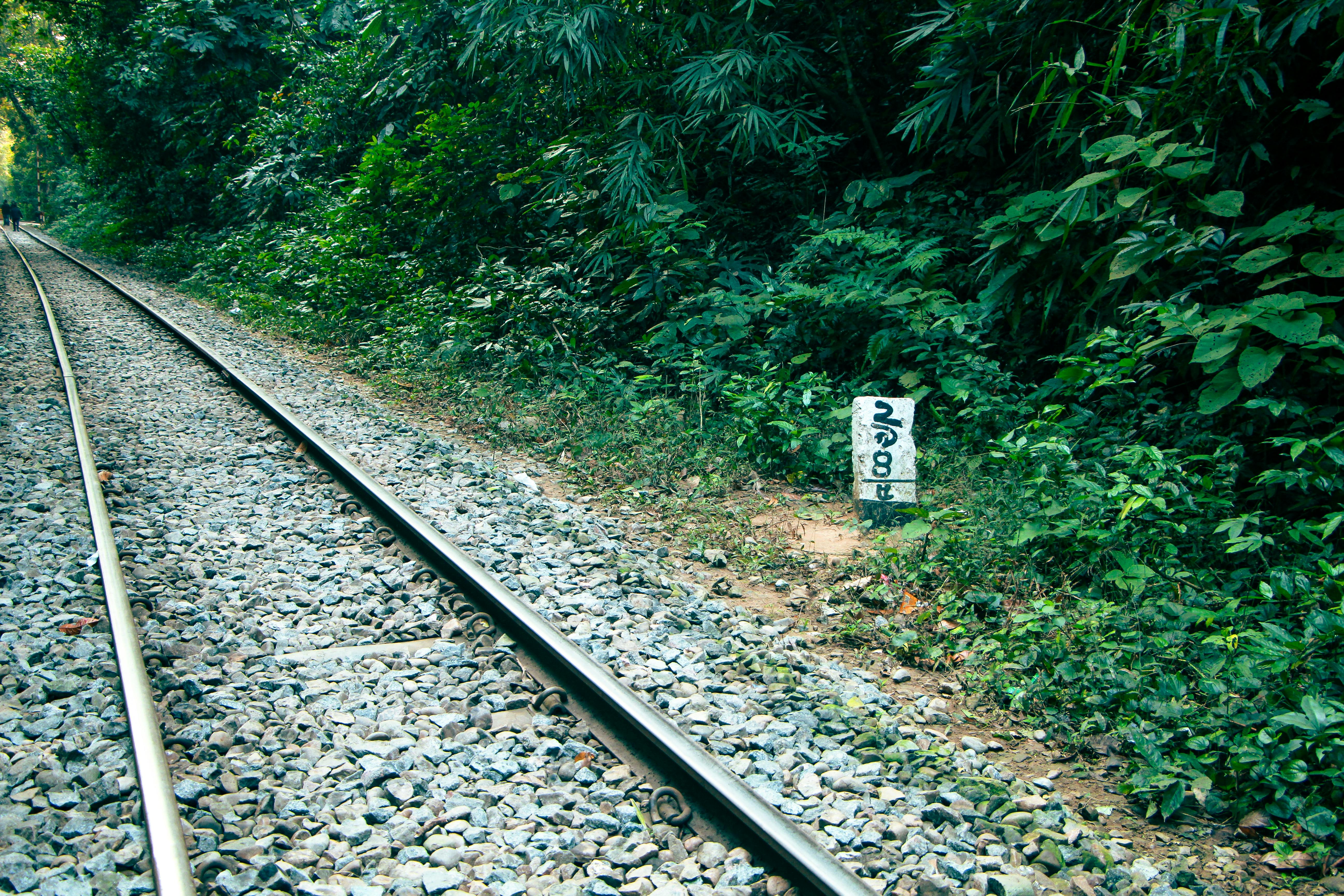 সিলেট ভোলাগঞ্জ ৪